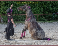 2-13JUIN 0129